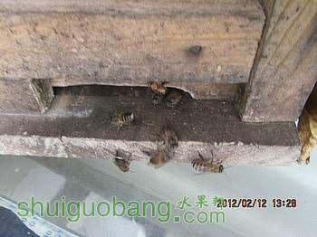 IMG_2285.JPG