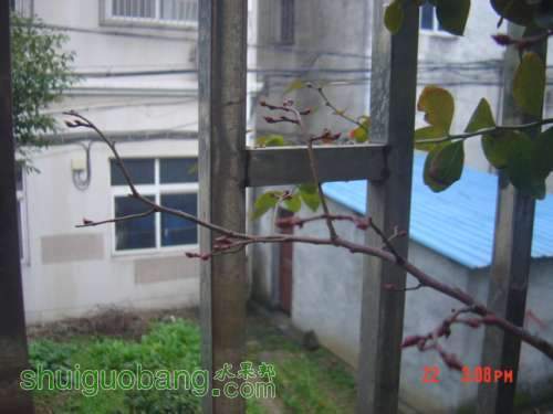 ���˺����Ļ�������Ļ�ѿ