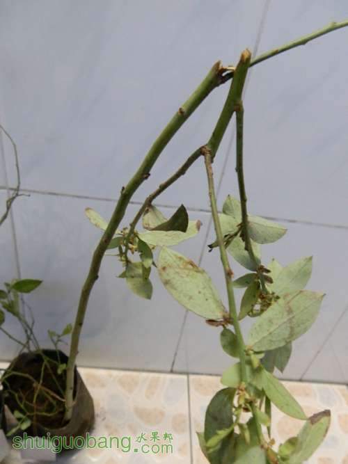 P2240056_����.jpg