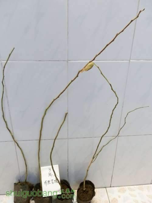 P2240061_����.jpg