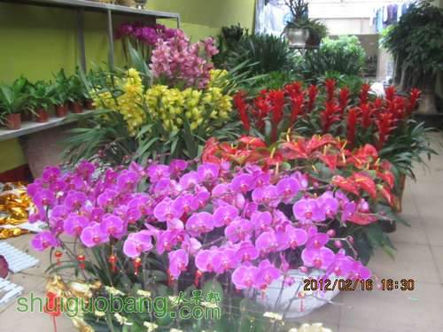 IMG_0674.JPG