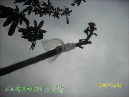 DSCI0168.JPG