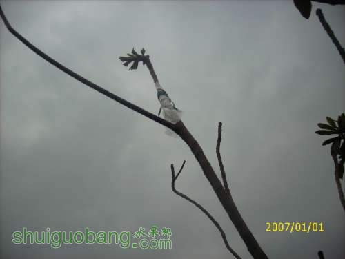 DSCI0169.JPG