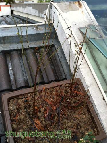 ��Ƭ20120216 186.jpg