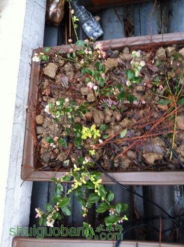 ��Ƭ20120216 187.jpg