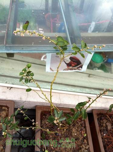 ��Ƭ20120216 184.jpg