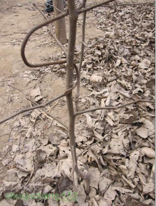 �ͼ��ã��������Ļ���ֱ�����������������ɽ�����