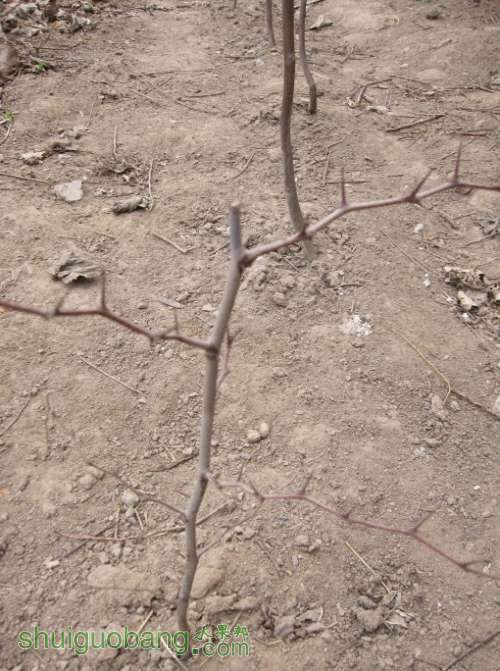 ȥ���＾���Դ��޽ӵ�����