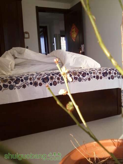 Ƭ03172012216_ת.jpg