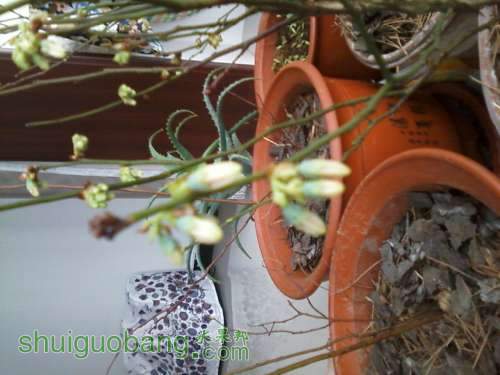 Ƭ03232012222.jpg