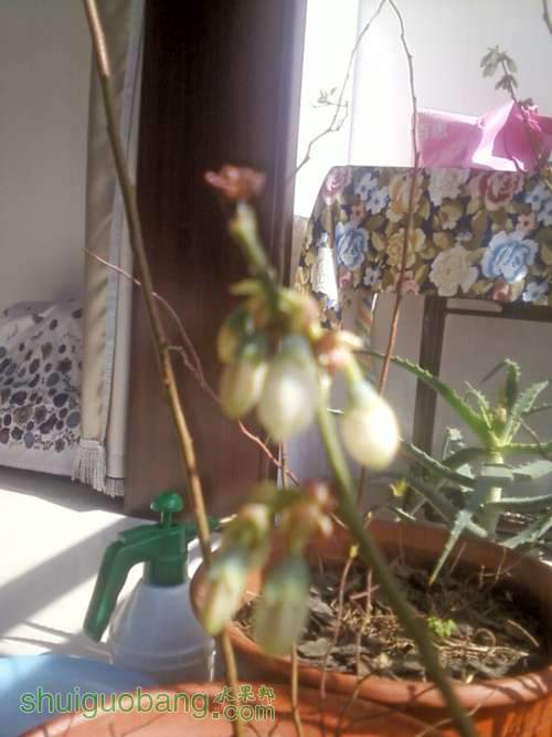 Ƭ0328201225_ת.jpg