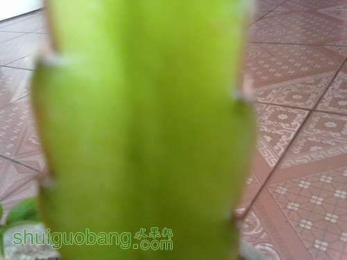 20120226127.jpg