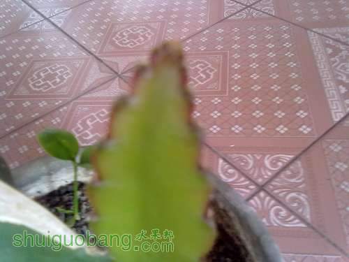 20120226128.jpg