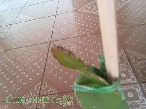 20120226130.jpg