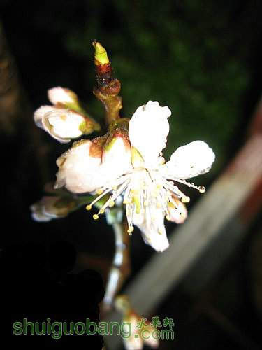 IMG_1551.JPG