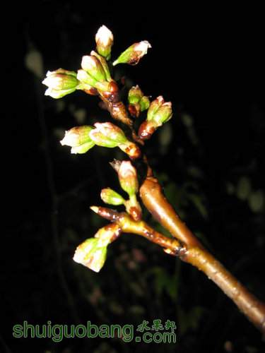 IMG_1535.JPG
