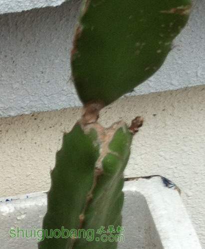 Ƭ20120316 300.jpg