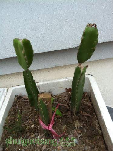 Ƭ20120216 300.jpg