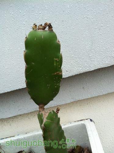 Ƭ20120216 299.jpg