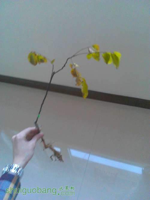 IMG_20120306_175802.JPG
