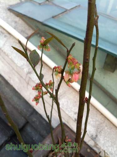 ��Ƭ20120216 265.jpg