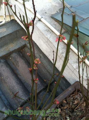 ��Ƭ20120216 266.jpg
