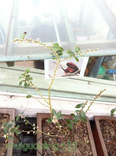 ��Ƭ20120216 233.jpg
