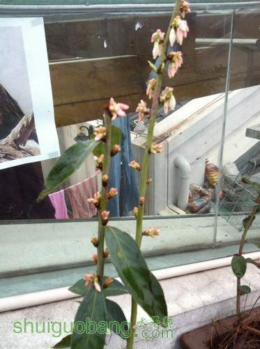 ��Ƭ20120216 236.jpg