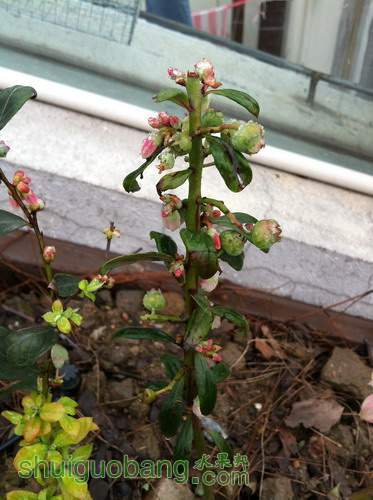 ��Ƭ20120216 237.jpg