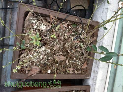 ��Ƭ20120216 256.jpg