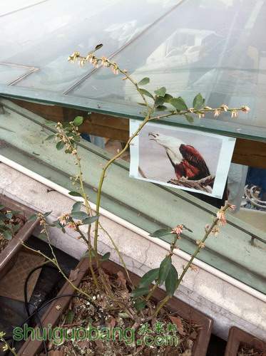 ��Ƭ20120216 258.jpg