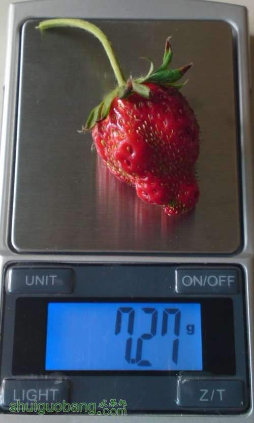 23.jpg