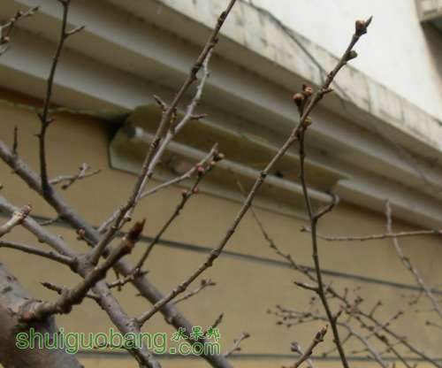 ӣ01.jpg