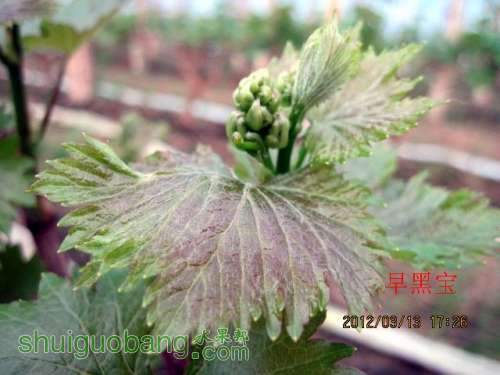 �ϴ�.�ڱ�����2012��03��13 027.jpg