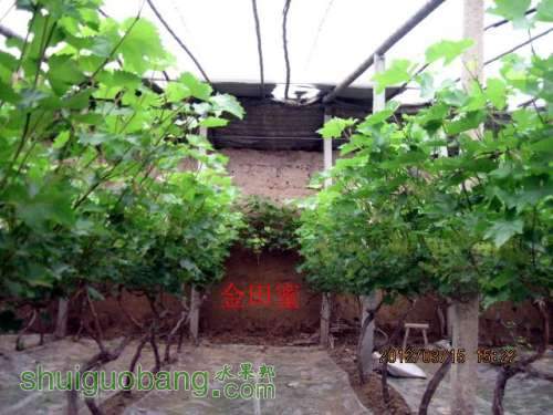 ������2012��03��14 023.jpg