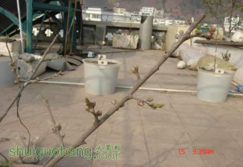 DSC05756.JPG