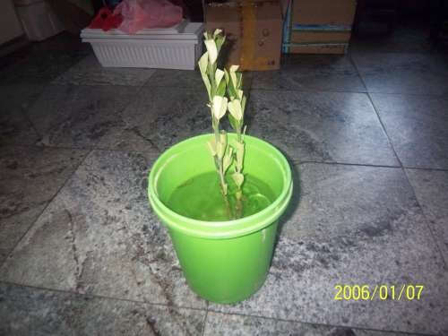 100_3416.JPG