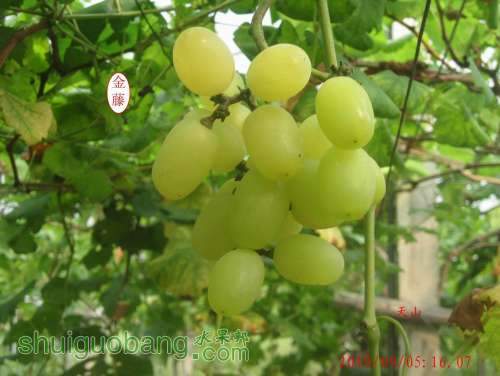 С С 2010.09.6 046.jpg