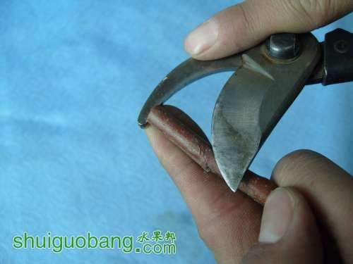 ޽1.jpg