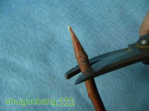 ޽5.jpg