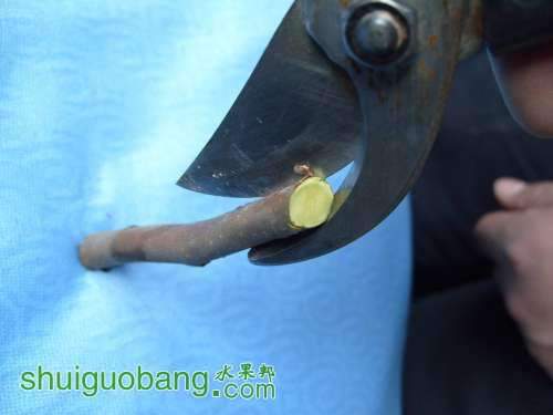 ޽9.jpg