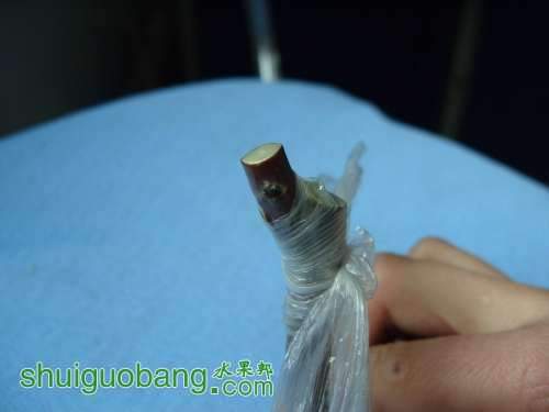 ޽14.jpg
