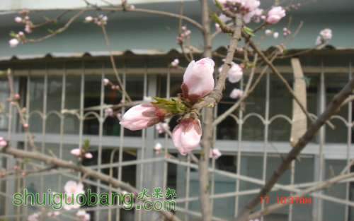DSC05797.JPG