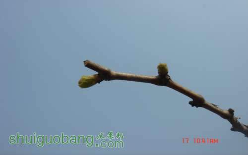 DSC05806.JPG