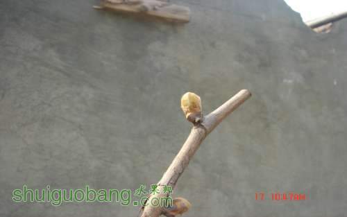 DSC05820.JPG