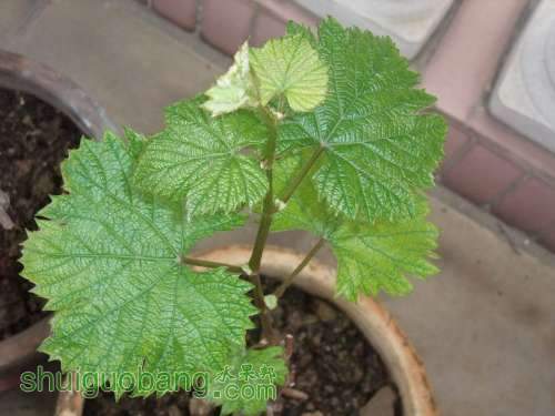 ����201203 004.jpg