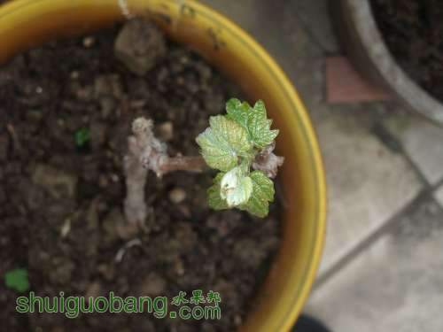 ����201203 006.jpg