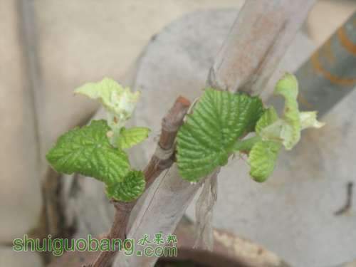 ����201203 007.jpg
