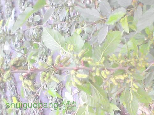 YP20120320073946.jpg