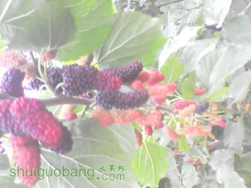 YP20120320072424.jpg